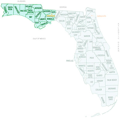 Image Link to a county map of eastern Florida which is covered by Energy Reps